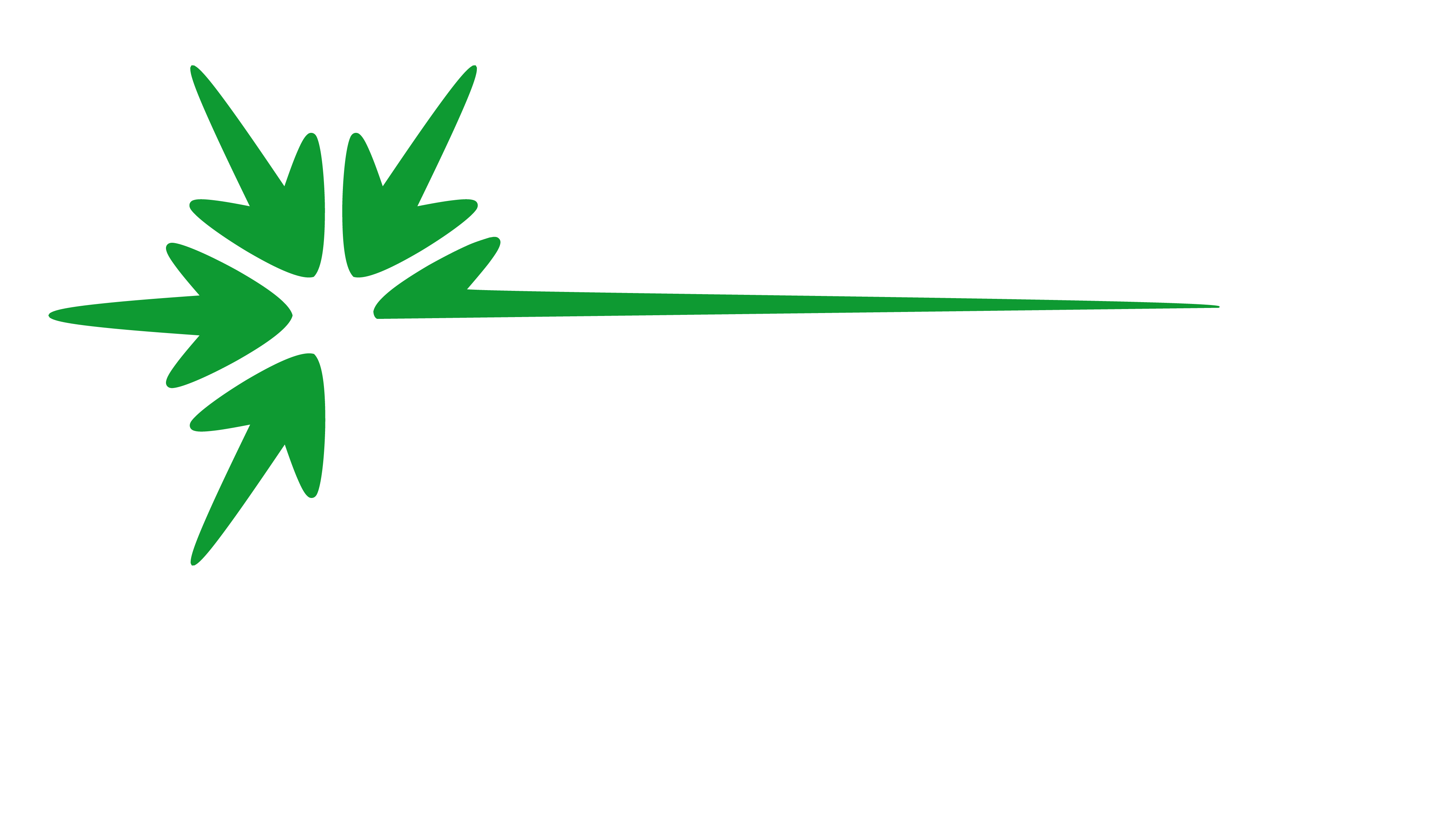 SNAP Financial Access Logo
