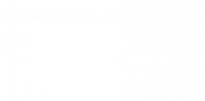 SNAP Financial Access logo